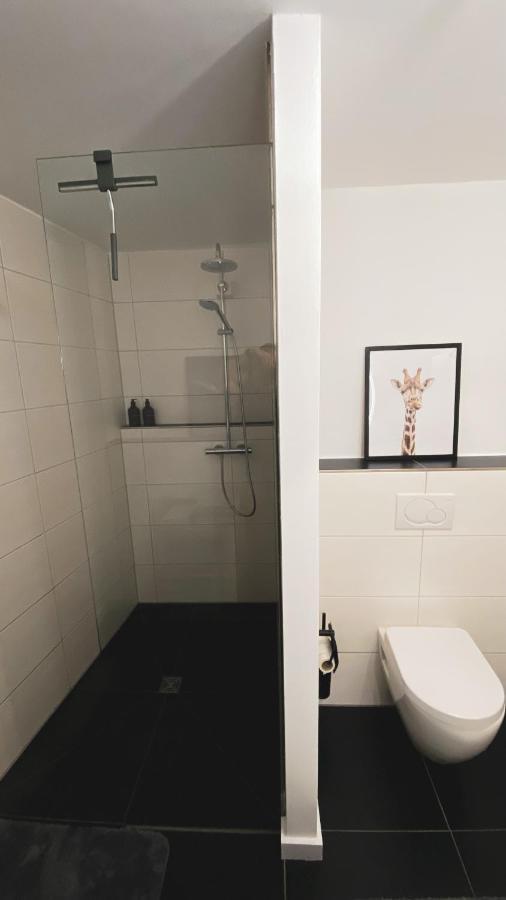 Stilvolles City-Loft Mit Privatem Whirlpool Трир Экстерьер фото